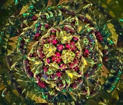 1st Aug 2024 - Kaleidoscope Art