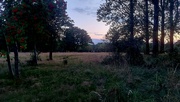 1st Aug 2024 - Dusk