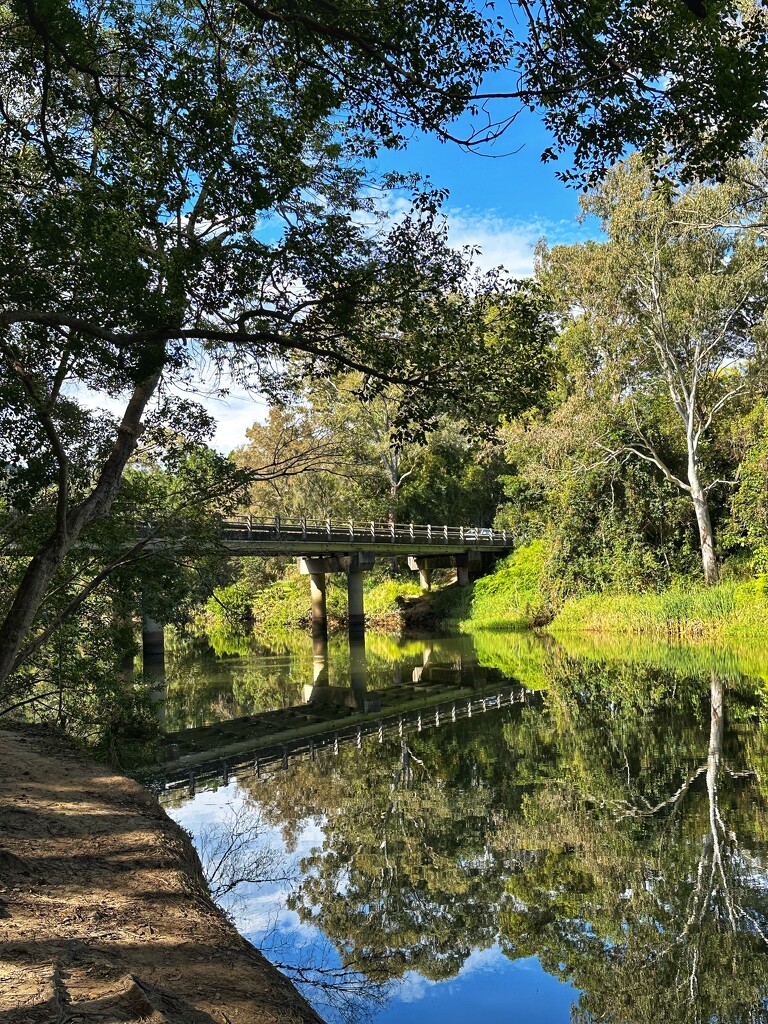 Maroochy River by corymbia