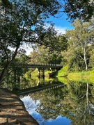 30th Jul 2024 - Maroochy River