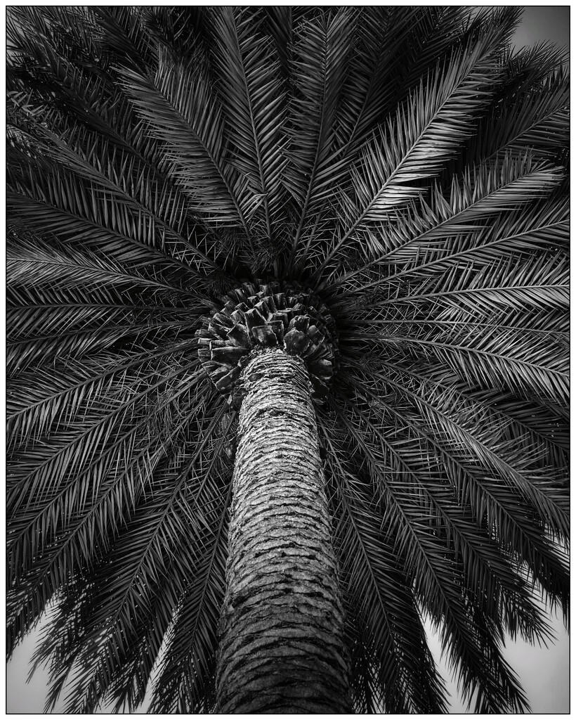 Palms Up by aikiuser