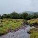 river and trees by christophercox