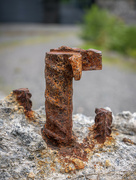 3rd Aug 2024 - Concrete reinforcing steel bars...