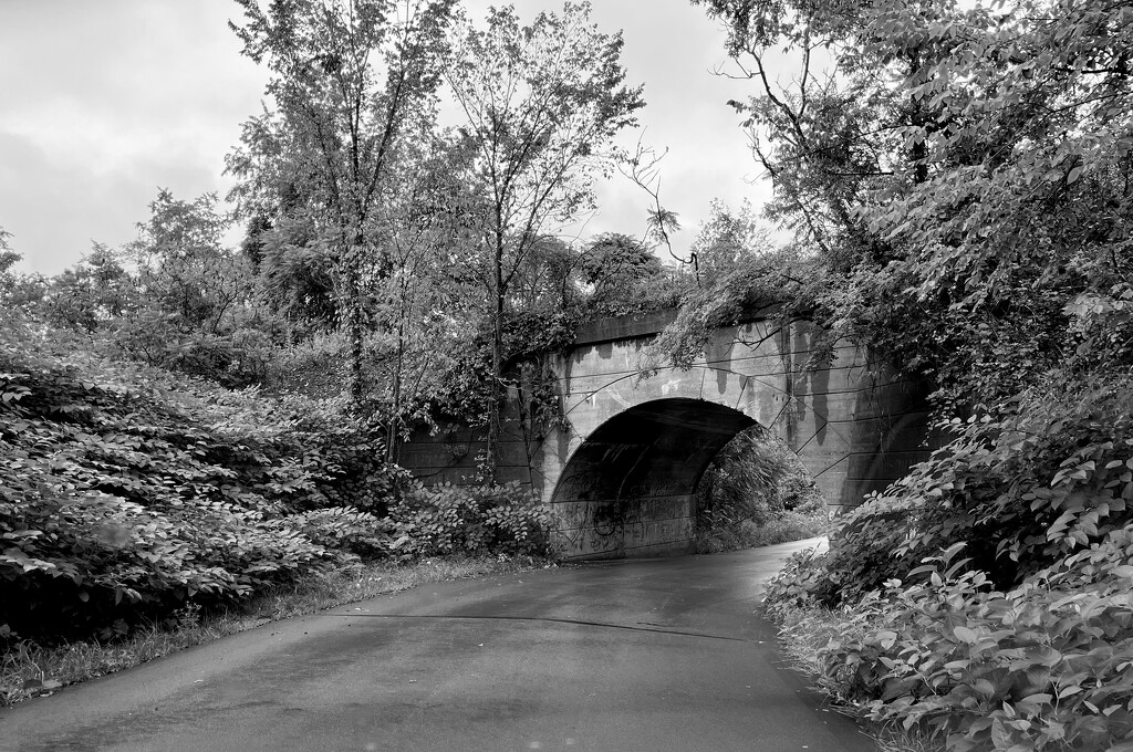 Old Railroad  Bridge by pej76