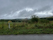 3rd Aug 2024 - Rainy Countryside 