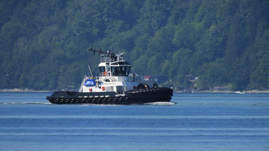 Tugboat by seattlite