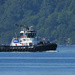 Tugboat by seattlite