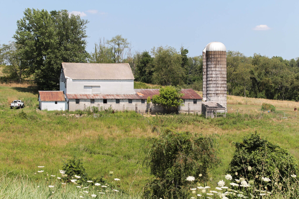 Barn 3 by mittens