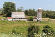 3rd Aug 2024 - Barn 3