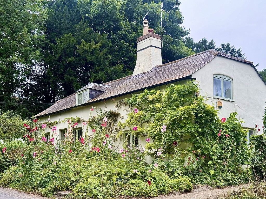 Hollyhock Cottage by wakelys