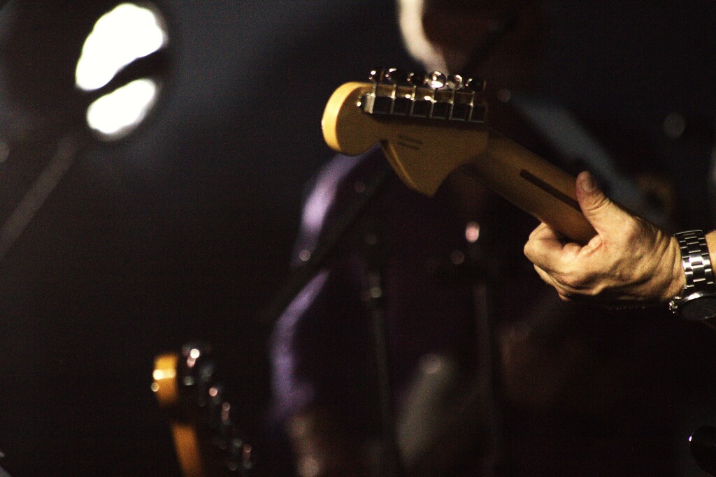 GUITAR 2...MUSIC IN THE PARK by jerzyfotos