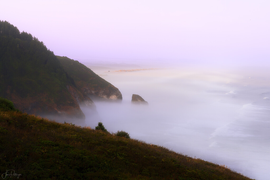 Foggy Dawn from Sea Lion Caves Overlook Visionary edit by jgpittenger