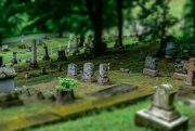 3rd Aug 2024 - Cemetery-2