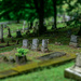 Cemetery-2 by darchibald