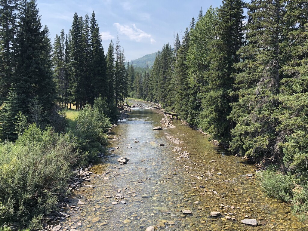 Creek in the Mountains  by dailypix