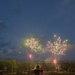 Day 188 Fireworks with the Grandkids ! by jeanniec57