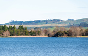 2nd Aug 2024 - Lake Puketirini in Winter