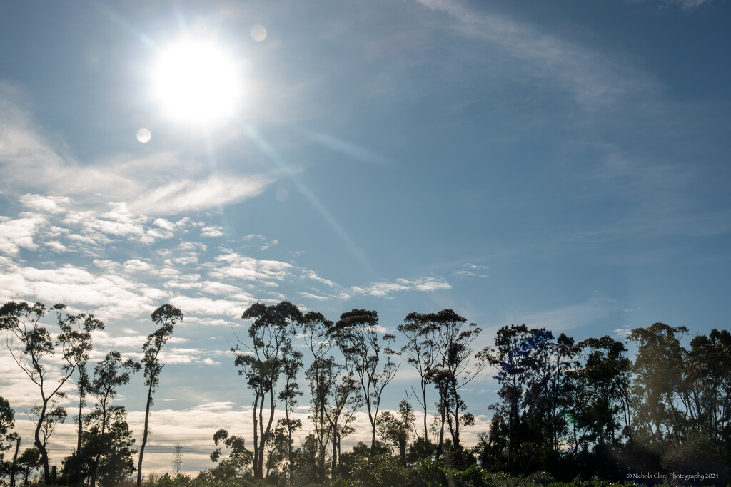 Winter Sunshine by nickspicsnz