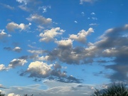 1st Aug 2024 - 8 1 Bright clouds