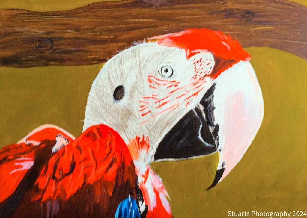 Macaw (painting) by stuart46