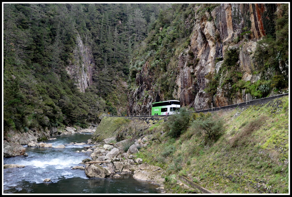 Karangahake Gorge by dide