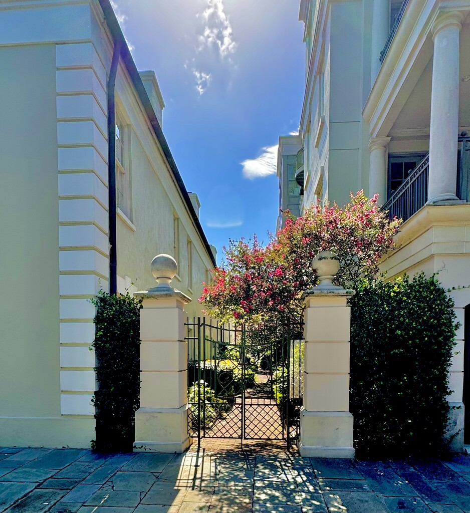 Entrance to a garden on a bright, sunlit day by congaree