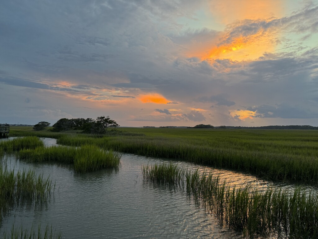 Marsh sunset by congaree