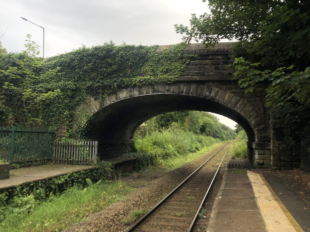 Railway bridge by sleepingexplorer