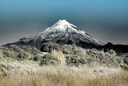 31st Jul 2024 - Taranaki Maunga