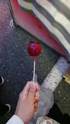 20th Jul 2024 - 1000001694 candied apple