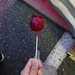 1000001694 candied apple by arnica17