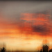  Sunrise icm by ludwigsdiana