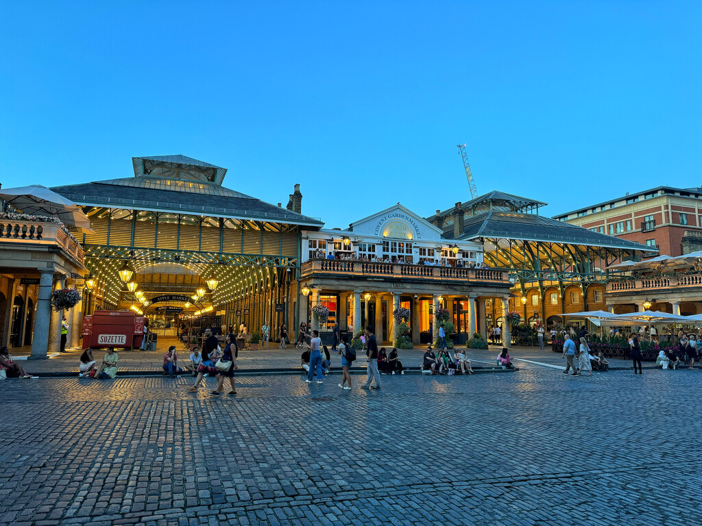 Coven garden by night.  by cocobella