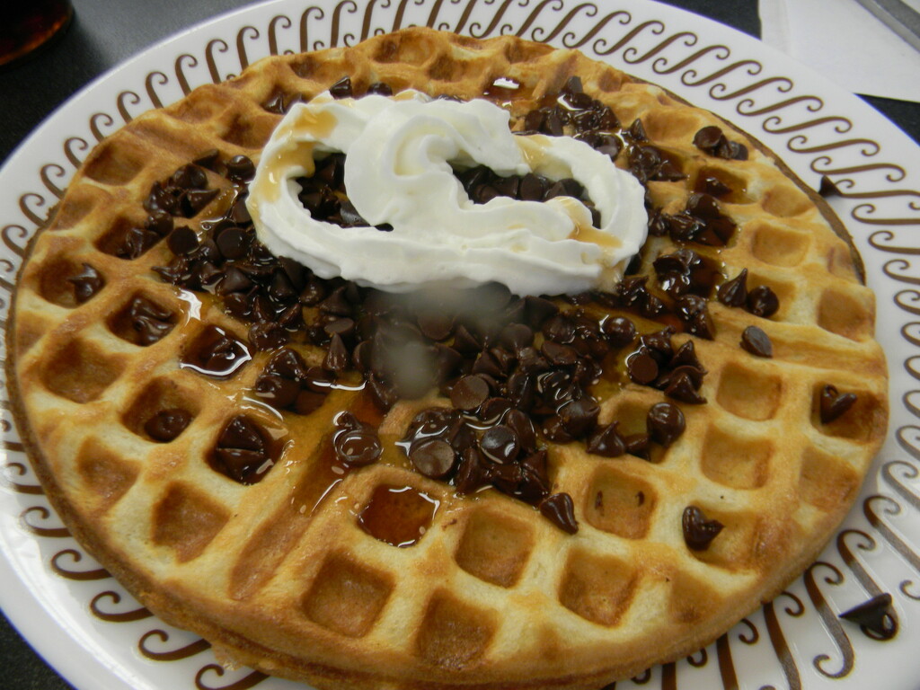 Chocolate Chip Waffle with Syrup and Whipped Cream  by sfeldphotos