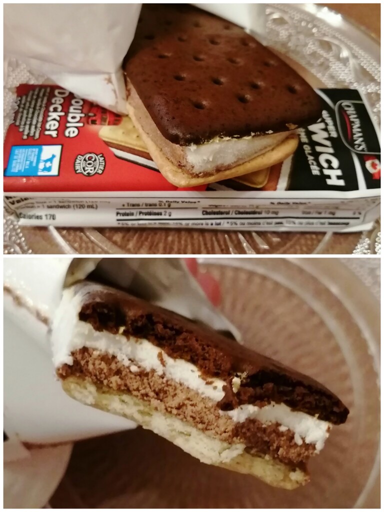 Double Deckers for Ice Cream Sandwich Day by princessicajessica