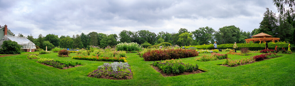 From my local park. by batfish