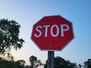 25th Jul 2024 - Stop again