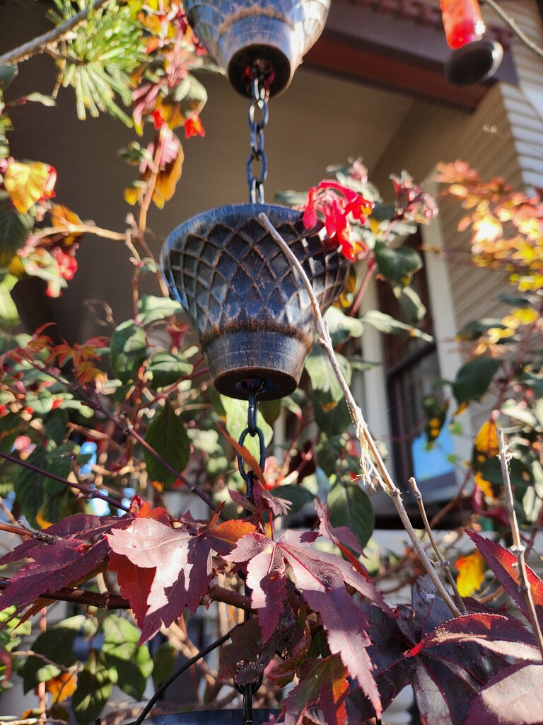 Rain Chain In Tree by mariaostrowski