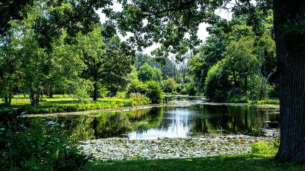 pond in shade by myhrhelper