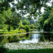 pond in shade by myhrhelper