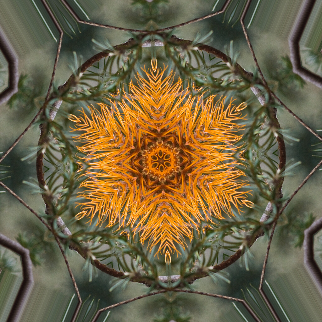 Abstract 5 - Kaleidoscope by annied