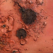 6th Aug 2024 - Rusted