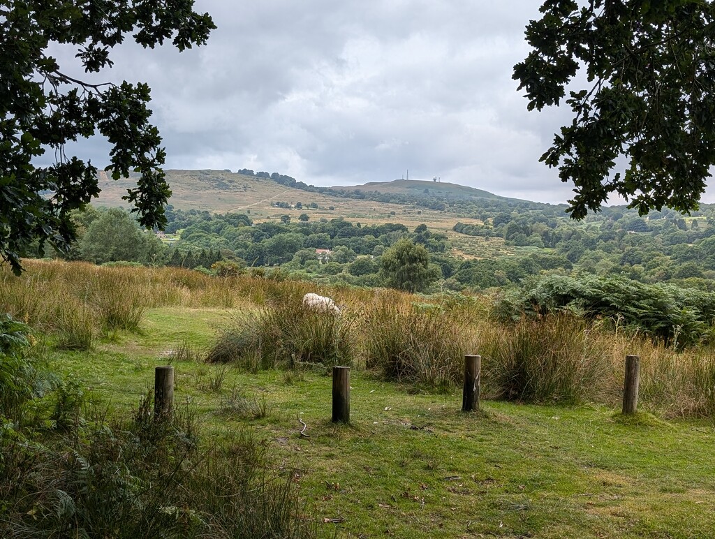 CLEE HILL. by derekskinner