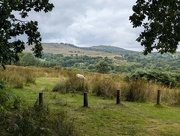 4th Aug 2024 - CLEE HILL.