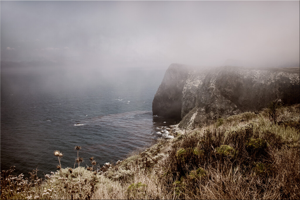 Cavern Point Loop Hike  by 365projectorgchristine