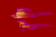 3rd Aug 2024 - Abstract ICM -Coneflower