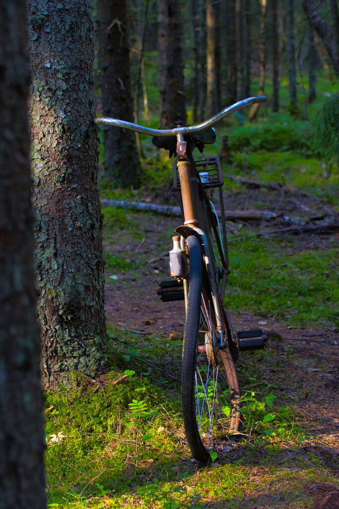 Forgotten bicycle by okvalle