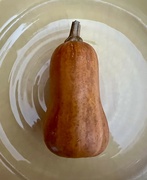 5th Aug 2024 - A single honey nut squash