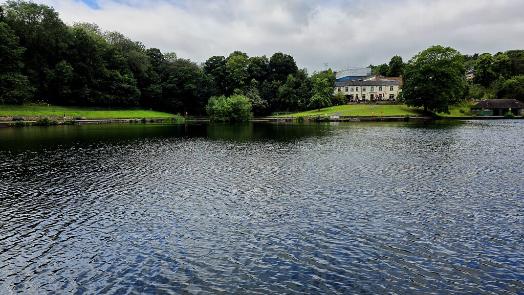 218/366 - Crookes Valley Park  by isaacsnek