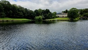 5th Aug 2024 - 218/366 - Crookes Valley Park 